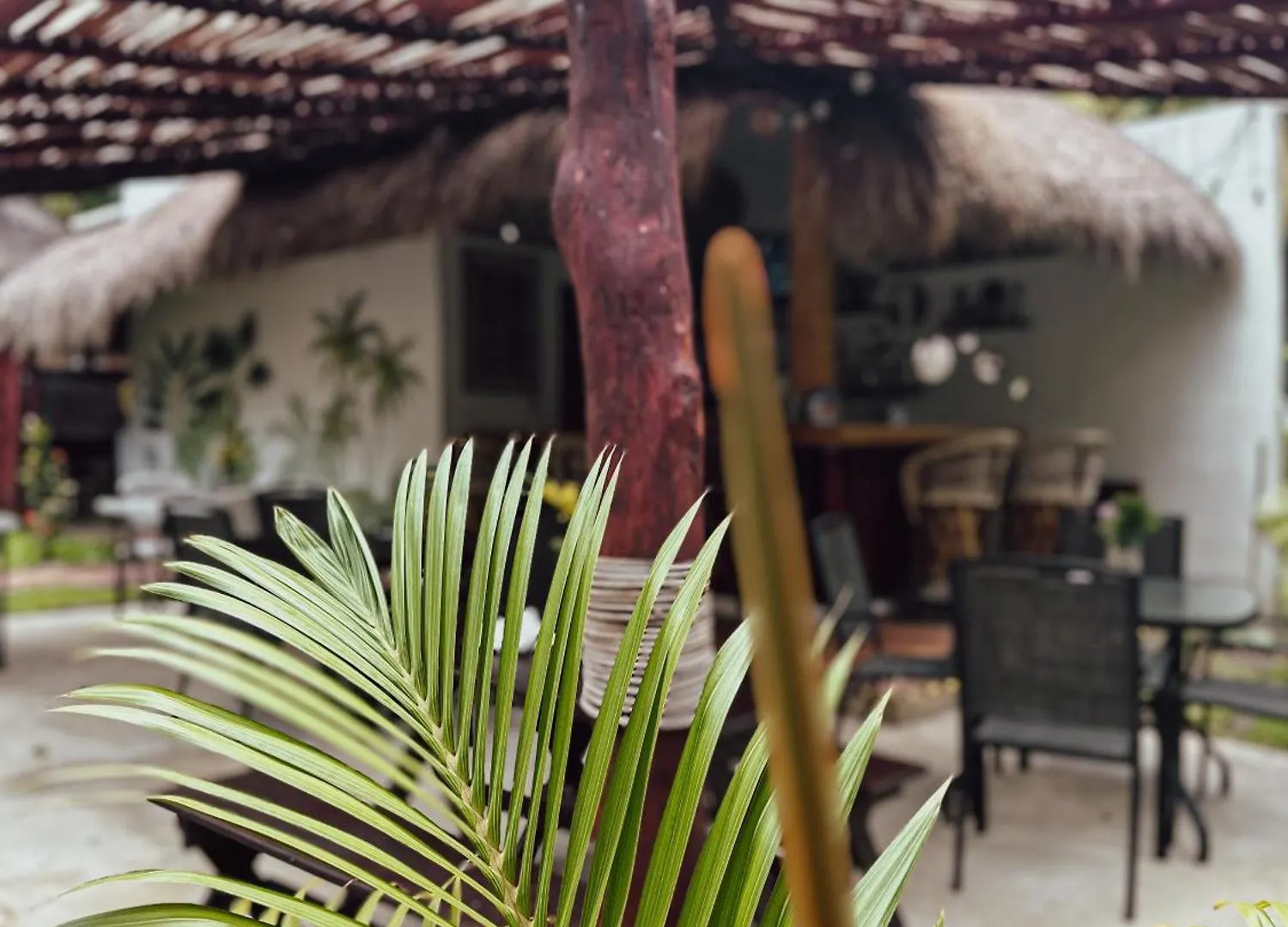 Hotel Boutique Aurea Bacalar