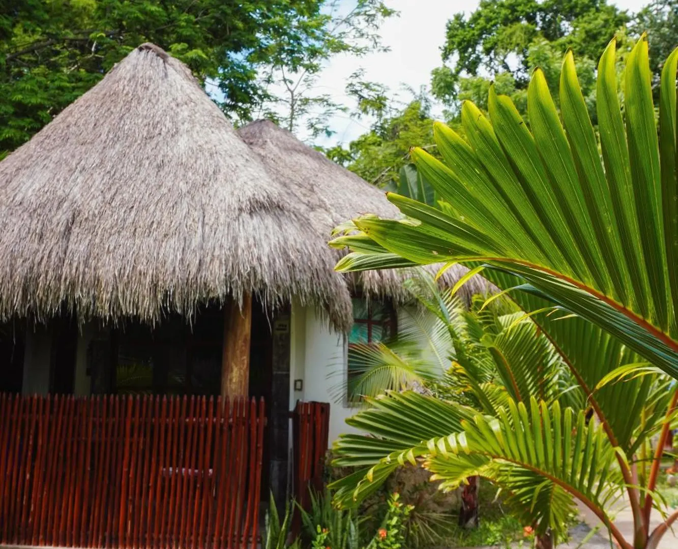 Hotel Boutique Aurea Bacalar